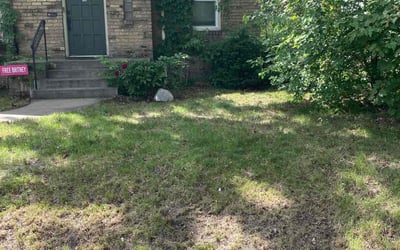 Photo of Sarah M.'s yard after getting landscaping in Mound, MN