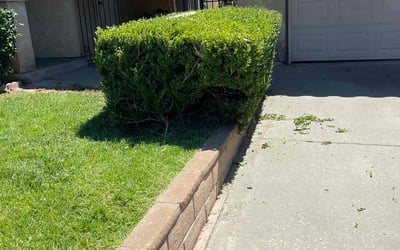 Photo of Monica R.'s yard after getting lawn care in Menifee, CA