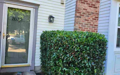 Photo of Stephanie M.'s yard after getting landscaping in District Heights, MD