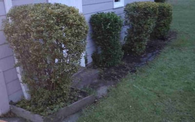 Photo of Larry R.'s yard after getting landscaping in Chesterland, OH