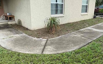 Photo of Kimberly J.'s yard after getting tree care in Frostproof, FL