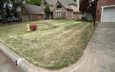 Photo of Michael N.'s yard after getting landscaping in Henryetta, OK