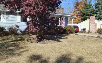 Photo of Kathleen A.'s yard after getting landscaping in Riverside, NJ