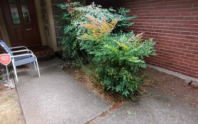 Photo of Katherine P.'s yard after getting landscaping in Mukilteo, WA
