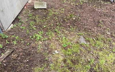 Photo of Misty A.'s yard after getting landscaping in Sand Springs, OK
