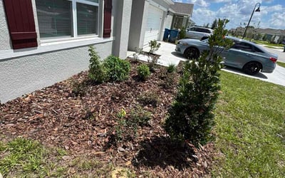 Photo of Kimberly J.'s yard after getting tree care in Lake Wales, FL