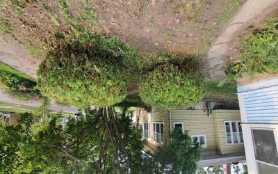 Photo of Andrew C.'s yard after getting landscaping in Isanti, MN