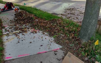 Photo of Valerie N.'s yard after getting landscaping in Milwaukee, WI