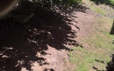Photo of Joshua J.'s yard after getting landscaping in Barnesville, MD