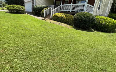 Photo of Mikki H.'s yard after getting landscaping in Tate, GA