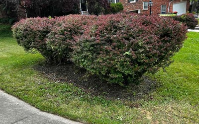 Photo of Victoria H.'s yard after getting landscaping in Mount Washington, KY