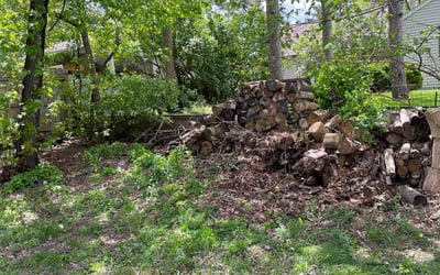 Photo of Barbara L.'s yard after getting landscaping in Montrose, MN