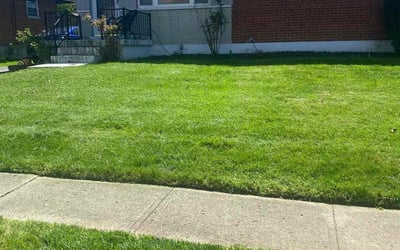 Photo of Michelle C.'s yard after getting landscaping in Hamersville, OH