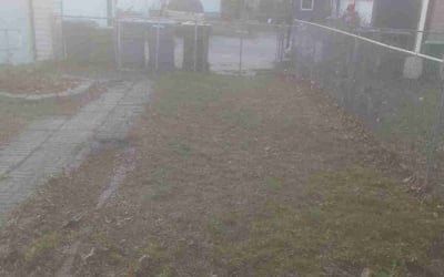 Photo of Ellen W.'s yard after getting landscaping in Loretto, MN