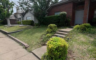 Photo of Steve M.'s yard after getting landscaping in Cedar Hill, TX