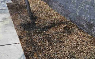 Photo of James L.'s yard after getting landscaping in Jean, NV