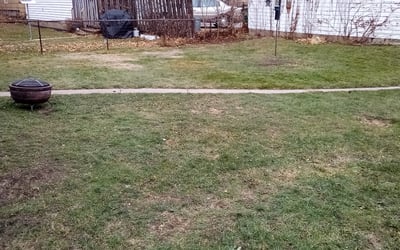 Photo of Kathleen V.'s yard after getting landscaping in Isanti, MN