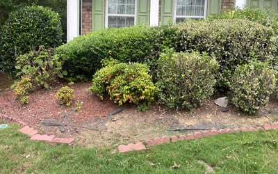 Photo of Hanyi M.'s yard after getting tree care in Morrow, GA