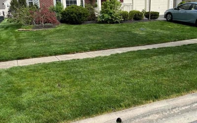 Photo of David T.'s yard after getting lawn care in Powell, OH