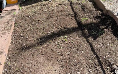 Photo of Patrick D.'s yard after getting landscaping in Simla, CO