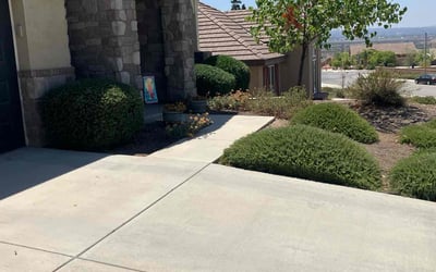 Photo of Sonja N.'s yard after getting landscaping in Highland, CA
