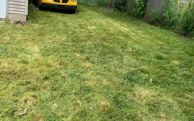 Photo of Barbara H.'s yard after getting landscaping in Jenison, MI