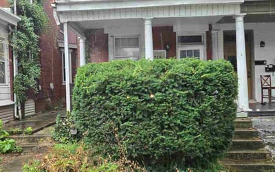 Photo of Dakota G.'s yard after getting tree care in Pittsburgh, PA