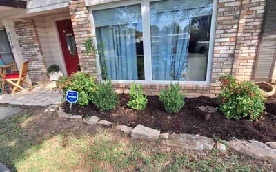 Photo of Shannon O.'s yard after getting landscaping in San Antonio, TX