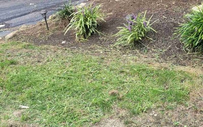 Photo of James K.'s yard after getting landscaping in Oberlin, OH