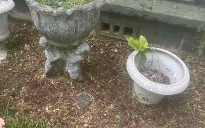 Photo of Shelita C.'s yard after getting tree care in Baton Rouge, LA