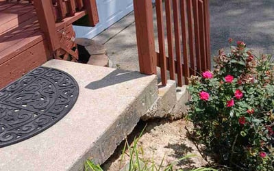 Photo of Ashley B.'s yard after getting landscaping in Saint Ann, MO