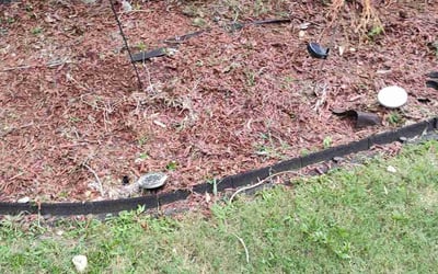Photo of Muriel O.'s yard after getting landscaping in Shady Dale, GA
