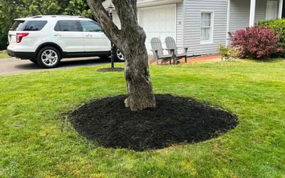 Photo of Mark M.'s yard after getting landscaping in Canton, CT