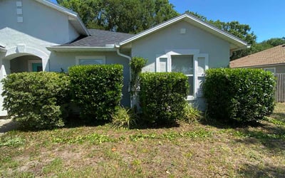 Photo of Sarah H.'s yard after getting landscaping in Yulee, FL