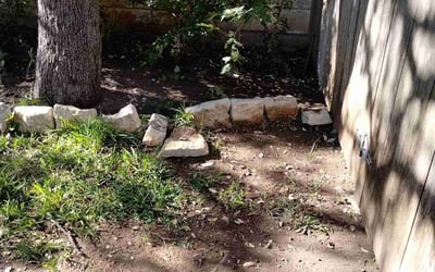 Photo of Lisa F.'s yard after getting landscaping in Martindale, TX