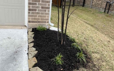 Photo of Blake b.'s yard after getting landscaping in Wallis, TX