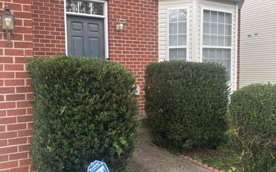 Photo of Brandon L.'s yard after getting landscaping in Fredericksburg, VA