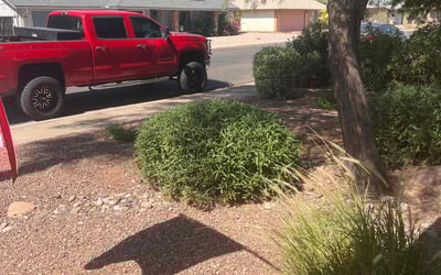 Photo of Robert S.'s yard after getting landscaping in Mesa, AZ