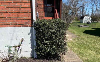Photo of Jordan G.'s yard after getting landscaping in Mc Kees Rocks, PA