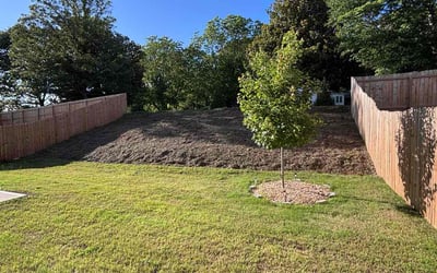 Photo of Tiffani A.'s yard after getting landscaping in Powder Springs, GA