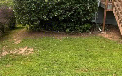 Photo of Benjamin M.'s yard after getting landscaping in Canton, GA