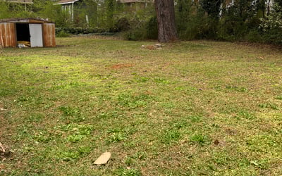 Photo of Christopher G.'s yard after getting landscaping in Lagrange, GA