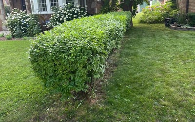 Photo of Andrew L.'s yard after getting landscaping in Dousman, WI