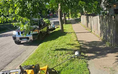 Photo of Krista D.'s yard after getting landscaping in Albertville, MN