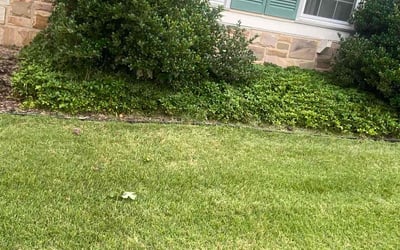 Photo of Leslie W.'s yard after getting landscaping in Linden, VA