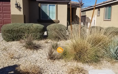 Photo of Matthew W.'s yard after getting landscaping in Laughlin, NV