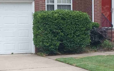 Photo of Ijeoma I.'s yard after getting landscaping in Barco, NC