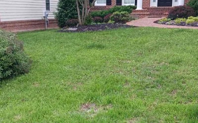 Photo of Mike M.'s yard after getting landscaping in Berryville, VA