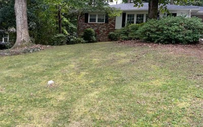 Photo of Molly M.'s yard after getting landscaping in Molena, GA