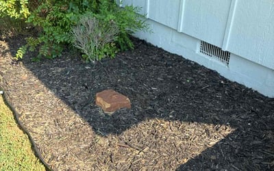 Photo of Rebecca G.'s yard after getting landscaping in Oklahoma City, OK